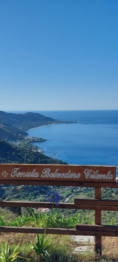Tenuta Belvedere Cilento Montecorice Buitenkant foto